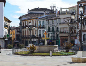 Mudanzas en Baza